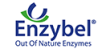 enzybel
